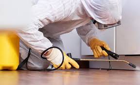 Best Termite Inspection and Treatment  in Lakeview, WA